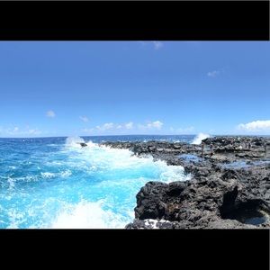 Meet your Posher, Darcy